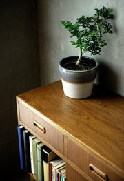 Copper owl showpiece on a wooden sideboard beside a potted plant